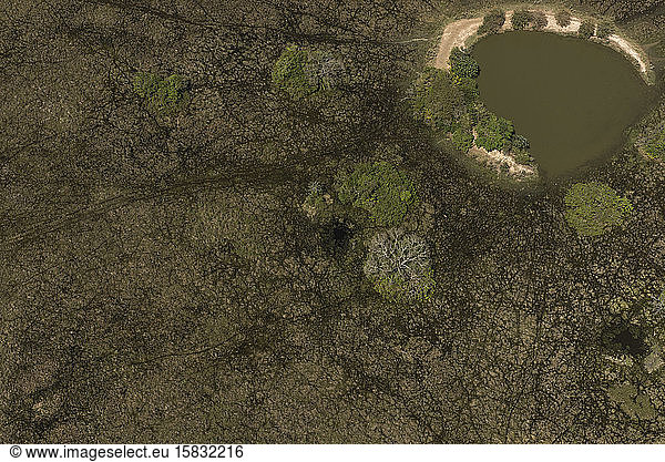 Aerial view of a lake on brazilian Pantanal wetlands
