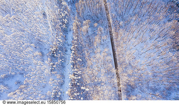 Aerial view of a road in winter.