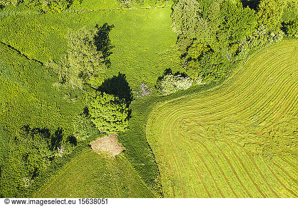 Aerial view of admonished meadow and natural way at Reichersbeuern  Upper Bavaria  Bavaria  Germany