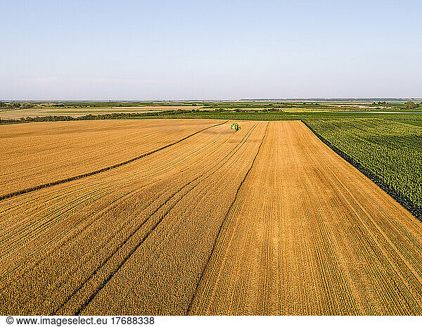 Aerial view of agricultural field on sunny day