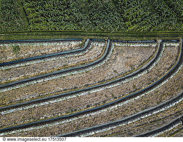 Aerial view of agricultural landscape  Bali  Indonesia