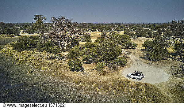 Aerial view of an isolated white jeep in a dirty track and a big Baobab tree  Bwabwata National park  Namibia