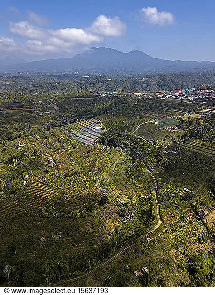 Aerial view of Bali island against sky  Indonesia