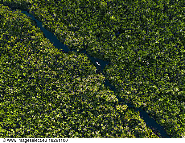 Aerial view of boat in mangrove forest  Lembongan  Bali