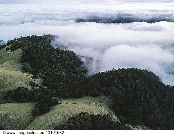 Aerial view of clouds covering green landscape