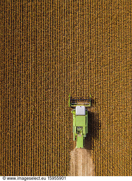 Aerial view of combine harvester on a field of soybean