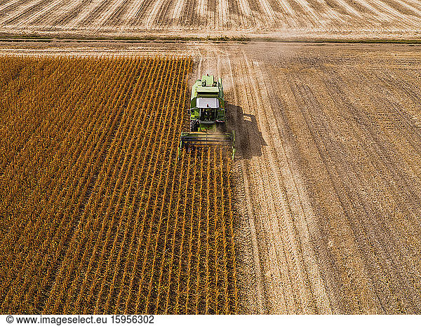 Aerial view of combine harvester on a field of soybean