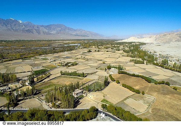 Aerial view of cultivation & settlement in fertile Indus river valley fringed by high altitude cold desert showing harvested fields willow & poplar plantations a road and Zanskar range on left.Between Thiksey & Shey Ladakh Jammu&Kashmir Himalayas India.