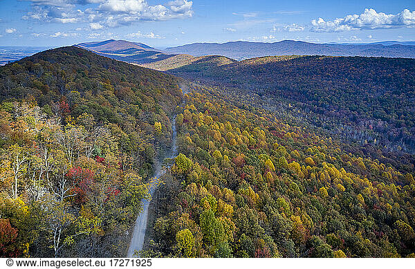 Aerial view of dirt road stretching in George Washington and Jefferson National Forests in autumn