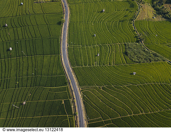 Aerial view of empty road amidst agricultural field