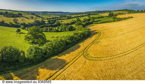Aerial view of fields in rural countryside