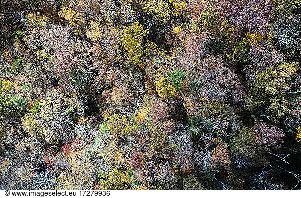 Aerial view of George Washington and Jefferson National Forests in autumn