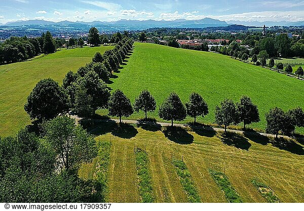 Aerial view of Haldebuckel in Kempten with a view of the Alps. Kempten im Allgäu  Swabia  Bavaria  Germany  Europe