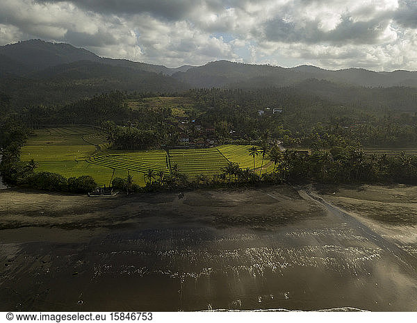 Aerial view of rice fields at ocean coastline