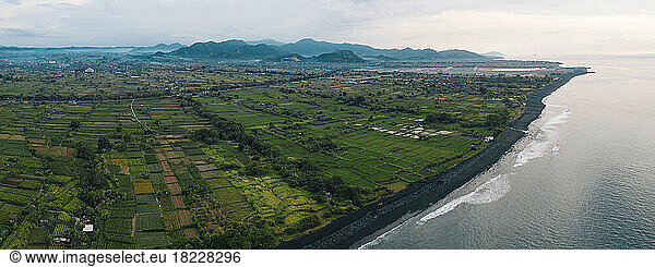 Aerial view of rice fields  Bali  Indonesia