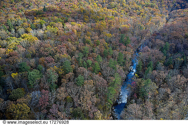 Aerial view of river flowing through George Washington and Jefferson National Forests in autumn