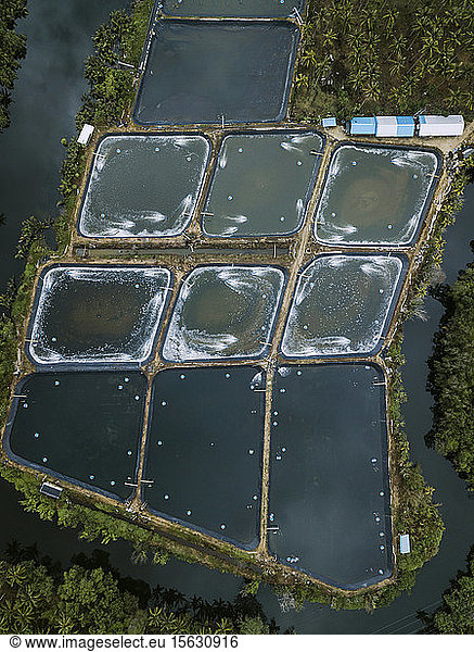 Aerial view of shrimp farm  Bali  Indonesia