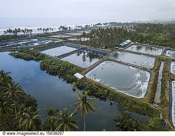 Aerial view of shrimp farm  Bali  Indonesia