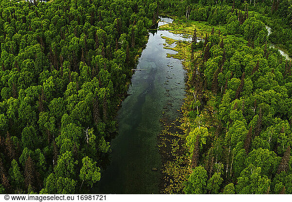 Aerial view of spruce trees separated by a blue glacial lake