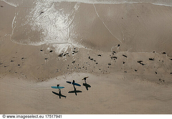 Aerial view of surfers on the beach