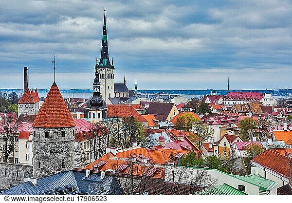 Aerial view of Tallinn Medieval Old Town with St. Olaf's Church and Tallinn City Wall. Tallinn  Estonia  Europe