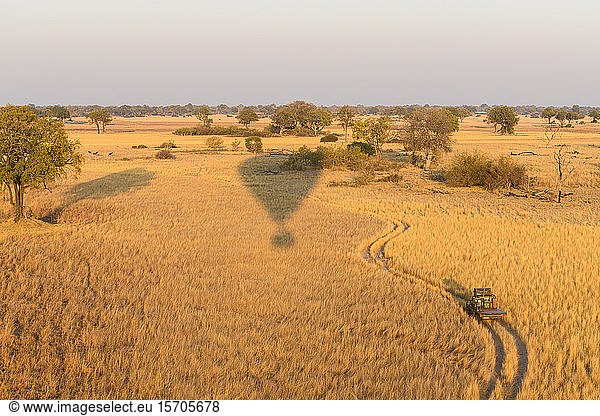 Aerial view of the Okavango Delta from a hot air balloon ride including chase vehicle  Okavango Delta  Botswana  Africa