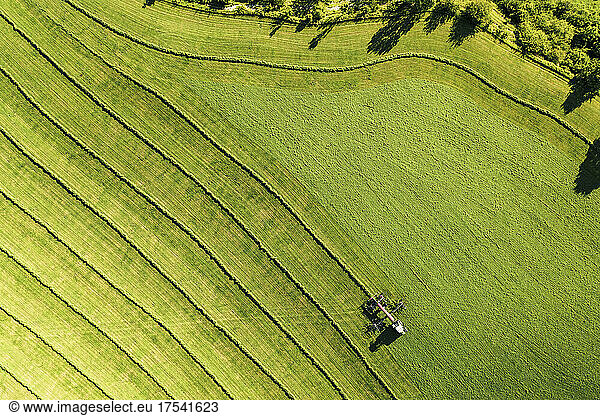 Aerial view of tractor moving green field in early spring