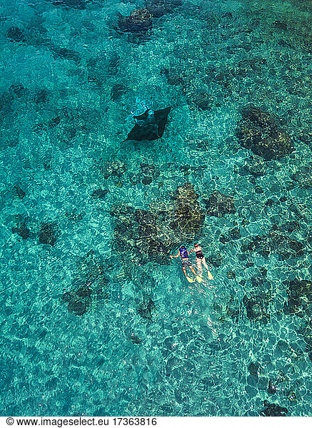 Aerial view of two people swimming near manta ray in turquoise waters of Pacific Ocean