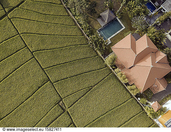 Aerial view of villa and pool in rice fields