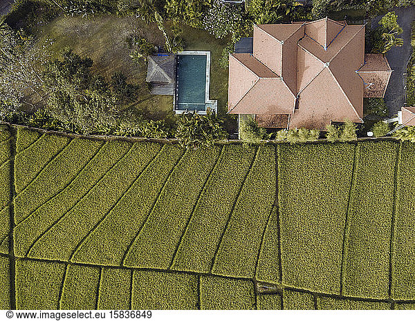 Aerial view of villa and pool in rice fields