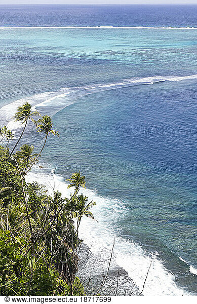 Aerial view of waves breaking on reef and tropical palm trees  Samoa