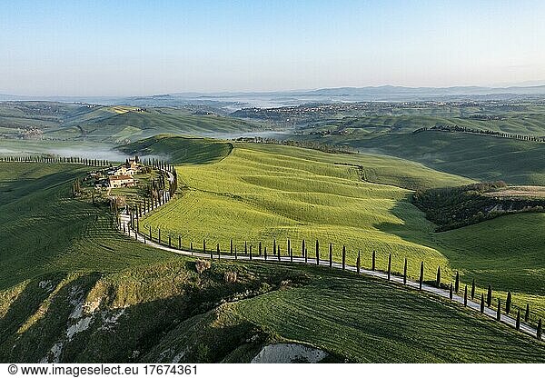 Aerial view  Typical winery  Agriturismo Baccoleno with cypresses (Cupressus)  sunrise  Crete Senesi  province of Siena  Tuscany  Italy  Europe