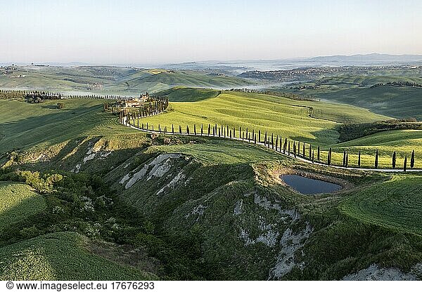 Aerial view  Typical winery  Agriturismo Baccoleno with cypresses (Cupressus)  sunrise  Crete Senesi  Province of Siena  Tuscany  Italy  Europe