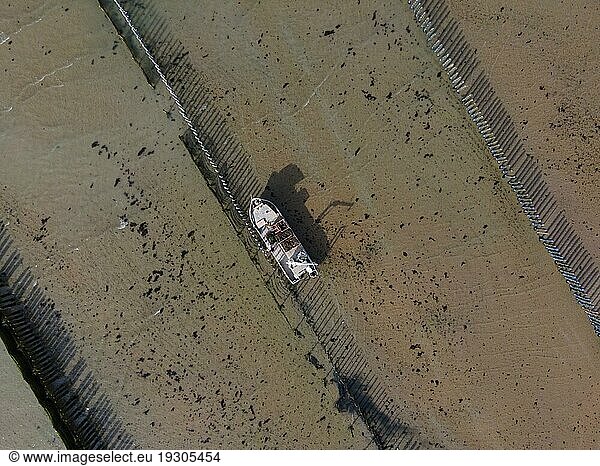 Aerial view  view of a cultivated mussel bank  working on the Bouchots  Saint-Cast-le-Guildo  Côtes-d'Armor  Brittany  France  Europe