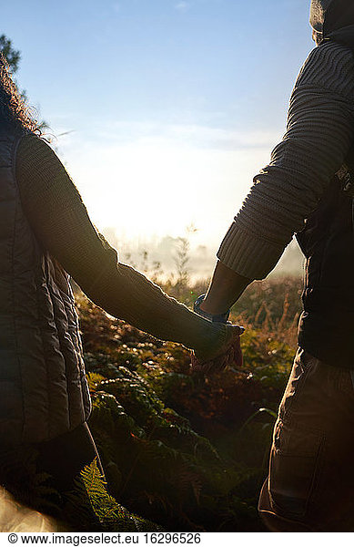 Affectionate couple holding hands in sunny nature
