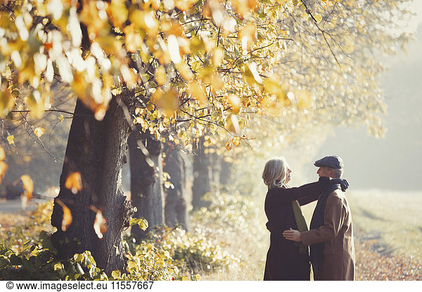 Affectionate couple in sunny autumn park