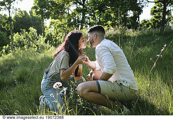 Affectionate couple kissing each other crouching on grass at park