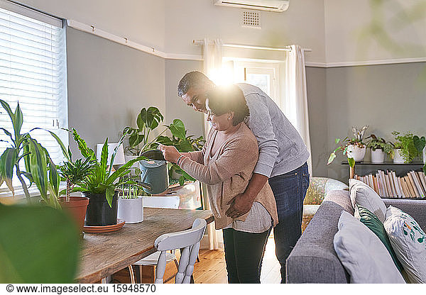 Affectionate couple tending to houseplants in dining room
