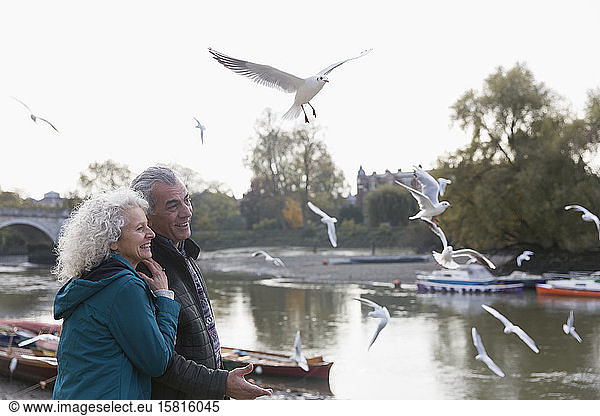 Affectionate senior couple watching birds flying at river
