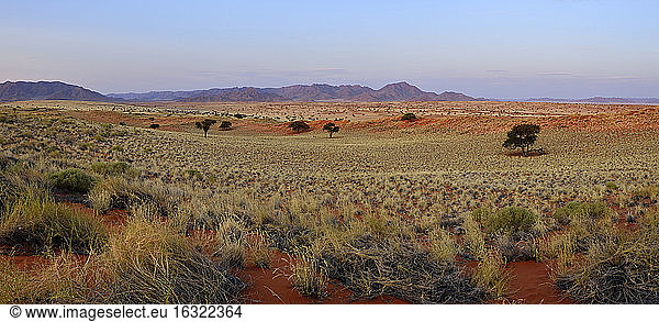 Africa,  Namibia,  Namib desert,  View over Namib Rand Nature Reserve in the evening light,  Panorama