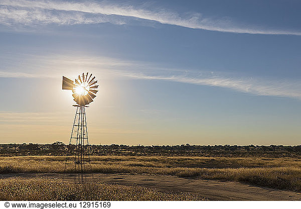 Africa  Botswana  Kgalagadi Transfrontier Park  Kalahari  wind wheel at waterhole Lanklaas
