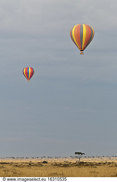 Africa  Kenya  Maasai Mara National Reserve  Two hot air balloons
