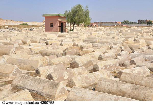 Africa  Morocco  Maghreb  North Africa  Marrakech  cemetery  Jewish  Jews  religion  graves  tomb