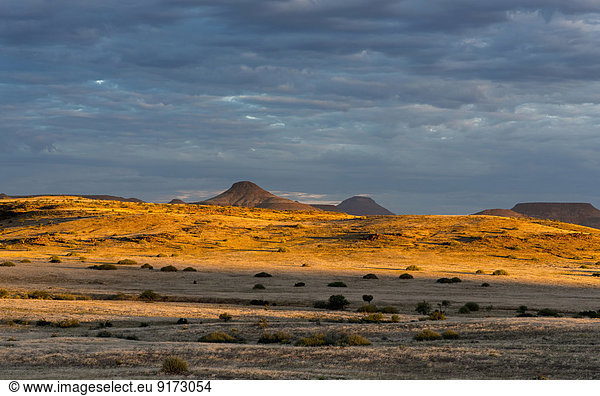 Africa  Namibia  Damaraland  sunset over landscape