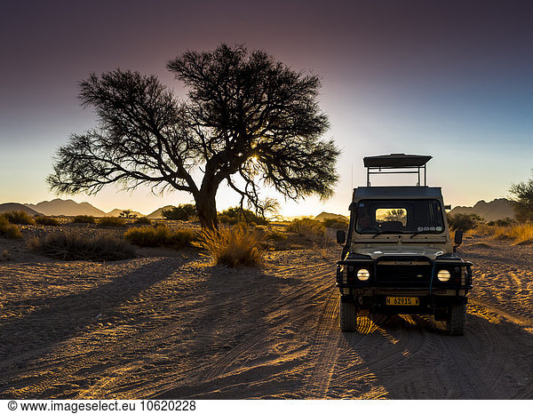 Africa  Namibia  Namib Desert  Landrover in Kulala Wilderness Reserve