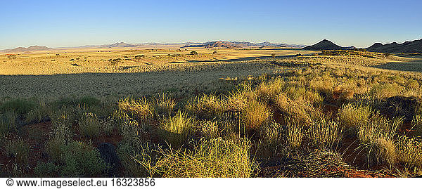 Africa  Namibia  Namib desert  View over Namib Rand Nature Reserve  Panorama