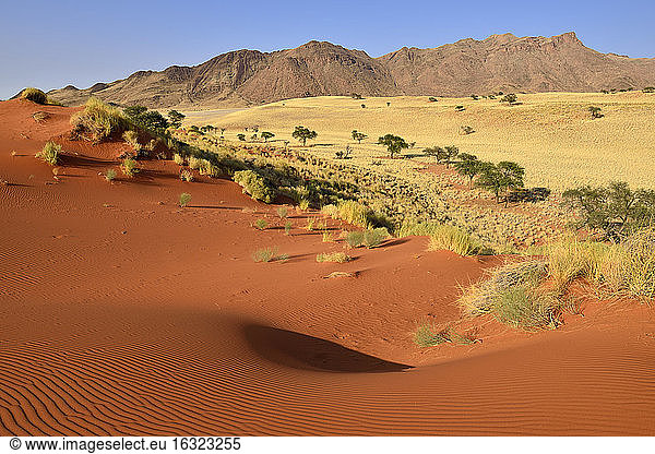 Africa  Namibia  NamibRand Nature Reserve  red sand dunes and Gorasis Mountain