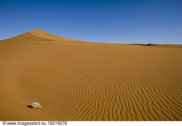 Africa  Namibia  Sossusvlei  Desert