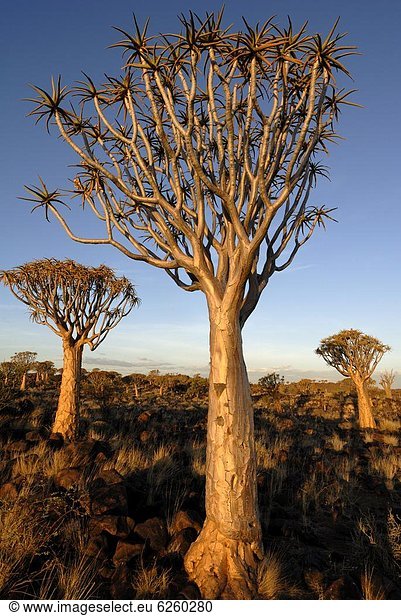 Afrika , Keetmanshoop