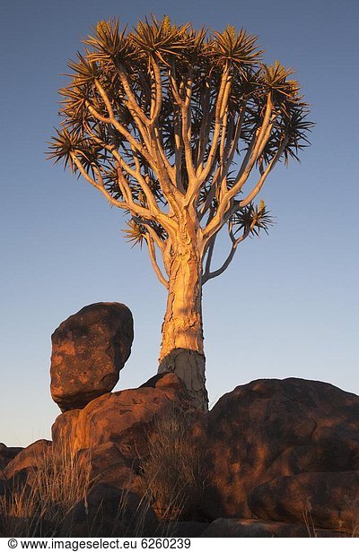 Afrika Keetmanshoop